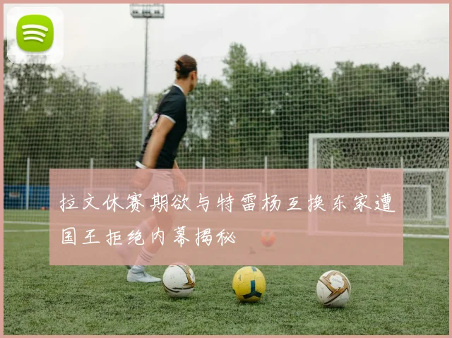 拉文休赛期欲与特雷杨互换东家遭国王拒绝内幕揭秘